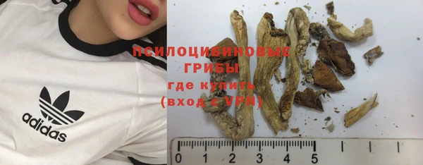 прущая мука Саяногорск
