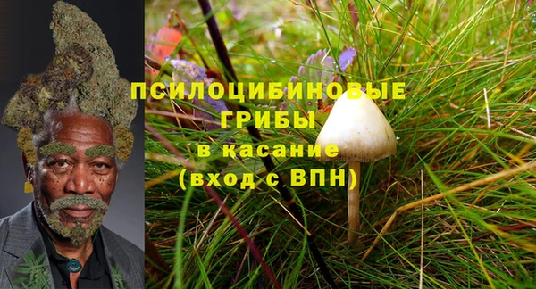 бутират Арсеньев