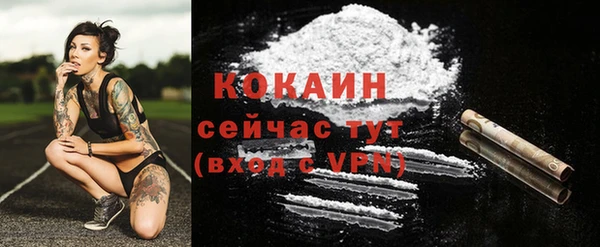 дживик Аркадак