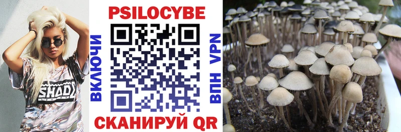 Псилоцибиновые грибы GOLDEN TEACHER Сычёвка