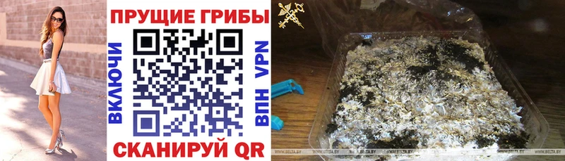 Псилоцибиновые грибы Psilocybine cubensis  купить наркотики цена  Сычёвка 