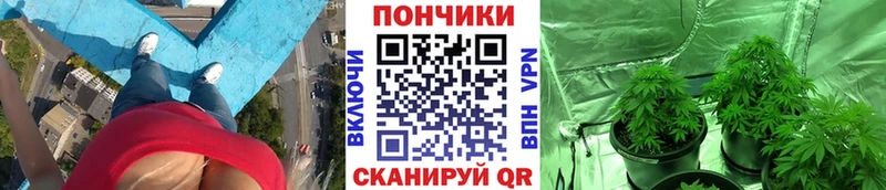Шишки марихуана гибрид  Сычёвка 